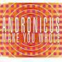 Details Andronicus - Make You Whole