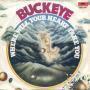 Details Buckeye - Where Will Your Heart Take You