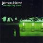 Trackinfo James Blunt - Goodbye My Lover