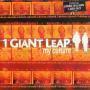 Trackinfo 1 Giant Leap - My Culture