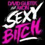 Trackinfo David Guetta feat. Akon - Sexy Bitch