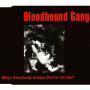 Details Bloodhound Gang - Why's Everybody Always Pickin' On Me?
