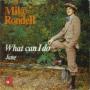 Coverafbeelding Mike Rondell - What Can I Do