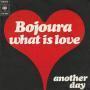 Coverafbeelding Bojoura - What Is Love