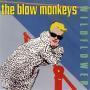 Coverafbeelding The Blow Monkeys - Wildflower