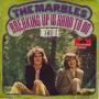 Trackinfo The Marbles - Breaking Up Is Hard To Do