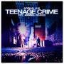 Trackinfo Adrian Lux - Teenage crime