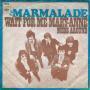 Trackinfo The Marmalade - Wait For Me Mary-Anne