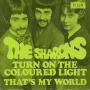 Details The Sharons - Turn On The Coloured Light