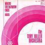 Coverafbeelding The Tony Hiller Orchestra - Where The Rainbow Ends