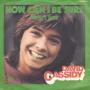 Trackinfo David Cassidy - How Can I Be Sure