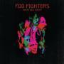 Details foo fighters - wasting light