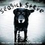 Details seasick steve - you can't teach an old dog new tricks