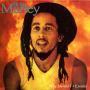 Trackinfo Bob Marley - Exodus [Remix]