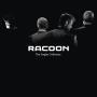 Details racoon - the singles collection