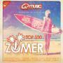 Details various artists - q-music presenteert het beste uit de top 500 van de zomer [2013]