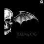 Details avenged sevenfold - hail to the king