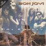Details Bon Jovi - Dry County