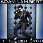 Trackinfo Adam Lambert - If I Had You