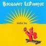 Coverafbeelding Buckshot Lefonque - Another Day