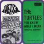 Details The Turtles - You Know What I Mean