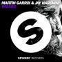 Trackinfo martin garrix & jay hardway - wizard