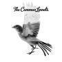 Details the common linnets - the common linnets