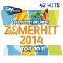 Details various artists - de grootste hits uit de zomerhit 2014 top 101 - sky radio