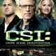 Details laurence fishburne, marg helgenberger e.a. - csi: crime scene investigated - seizoen dertien, afleveringen 13.13-13.21