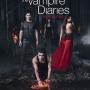 Details nina dobrev, paul wesley e.a. - the vampire diaries - seizoen 5