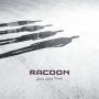 Details racoon - all in good time