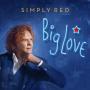 Details simply red - big love