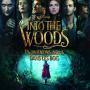 Details anna kendrick, meryl streep e.a. - into the woods