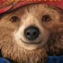 Details hugh bonneville, sally hawkins e.a. - paddington