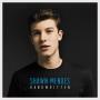 Trackinfo Shawn Mendes - Stitches