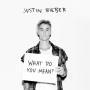 Trackinfo Justin Bieber - What do you mean?