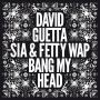 Trackinfo David Guetta feat. Sia & Fetty Wap - Bang my head