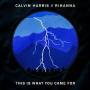 Details calvin harris - this is what you came for (feat. rihanna)