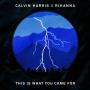 Coverafbeelding Calvin Harris // Rihanna - This is what you came for