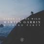 Details Martin Garrix & Third Party - Lions in the wild