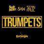 Trackinfo Sak Noel & Salvi & Sean Paul - Trumpets