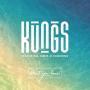 Details Kungs featuring Jamie N Commons - Don't you know