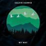 Trackinfo Calvin Harris - My way
