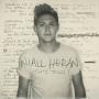 Coverafbeelding Niall Horan - This town