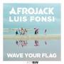 Trackinfo Afrojack featuring Luis Fonsi - Wave your flag