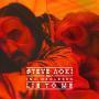 Trackinfo Steve Aoki feat. Ina Wroldsen - Lie to me
