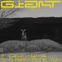 Trackinfo Calvin Harris & Rag'n'Bone Man - Giant