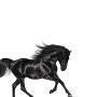Trackinfo Lil Nas X / Lil Nas X feat. Billy Ray Cyrus - Old Town Road / Old Town Road - Remix