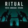Trackinfo Tiësto & Jonas Blue & Rita Ora - Ritual