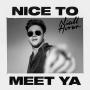 Coverafbeelding Niall Horan - Nice To Meet Ya